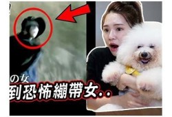 探秘抖音五个阴兵视频：揭秘背后的真实故事与灵异方向