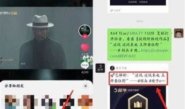 抖音短视频破解下载方法揭秘，轻松获取热门视频资源
