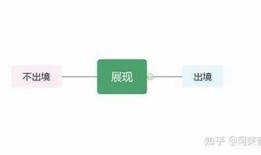 掌握抖阴源：提升视频创作技巧与流量获取的完整指南