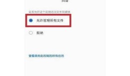 如何轻松下载抖音视频？简单步骤教你达成！