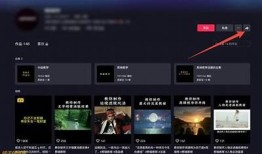 iPad无法下载抖音的处理方式方式与常见障碍解析