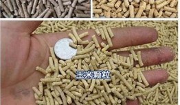 悠然自得：牛羊在草地上吃草的美丽抖阴视频欣赏