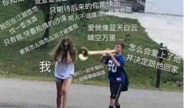 抖音猫咪在哪里找？教你轻松找到萌宠伴侣！