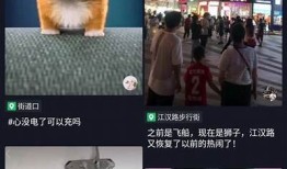 抖音优化版下载地址2023，快速获取精彩短视频体验
