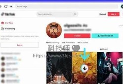抖音蓝奏云下载密码获取及使用指南