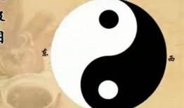 阴与阳：探索生活中的平衡与对立之美