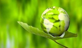 探索抖音短视频网址：提升你的短视频创作技巧与流量引导方法