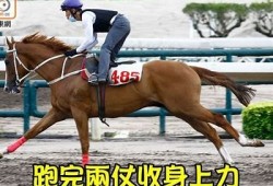 邵先森快猫抖阴：揭秘热门短视频平台新玩法与技巧
