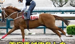邵先森快猫抖阴：揭秘热门短视频平台新玩法与技巧