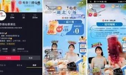 揭秘阴雪梅的抖音视频：让她瞬间吸引百万关注的秘诀！