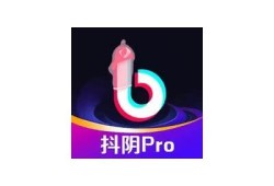 抖阴小视频优化技巧揭秘，助你快速提升百度收录排名