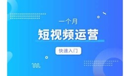 2023年抖音VIP会员价格与特权详解，如何高效获取更多收益