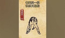 如何安全高效地使用抖阴？完整攻略与注意事项分享