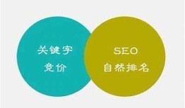 如何提升网站在百度的收录排名技巧与策略分享