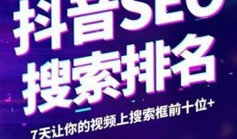解密抖音优化版：提升视频排名与曝光率的实用技巧
