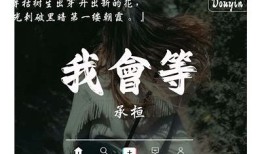 此抖阴非彼比抖音：深度揭秘新兴短视频APP的异同与特点