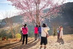 探索抖音旅行者雷：那些不可错过的旅行秘境与体验