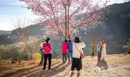 探索抖音旅行者雷：那些不可错过的旅行秘境与体验