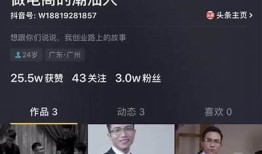 抖音邵职场发展秘籍：如何有效提升个人影响力与收入