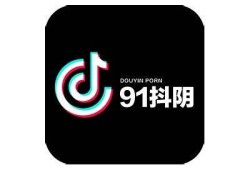 抖阴破解版无法启动，界面停滞障碍及解决方法详解