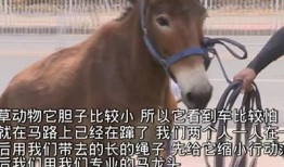 最新成版人抖阴视频iOS观看指南，畅享精彩内容！