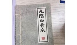 巅峰秘技揭秘：九阴白骨爪的绝世武功与实战技巧分享！