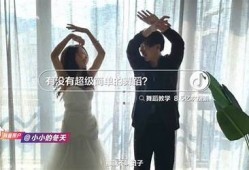 揭秘抖音热门视频背后的创作技巧与成功秘诀