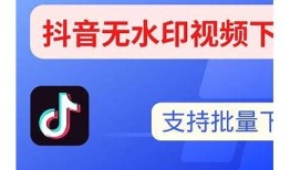 抖音视频下载破解版，轻松获取热门短视频的最佳选择