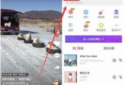 抖音初始化失败的背景研究及解决方法探讨