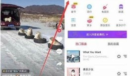 抖音初始化失败的背景研究及解决方法探讨