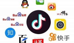 抖阴与抖音：两个短视频平台的异同与发展动向研究