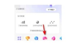 抖音流量池如何获取？最新资料揭秘与你的收益关系有多大！