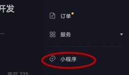 抖音小程序APZP详解：如何快速达成流量变现与用户增长