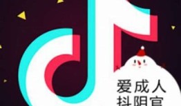 抖阴黄软件推荐：热门功能与使用攻略详解