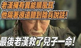 阴兵老五原视频完整版：揭秘神秘动向背后的故事