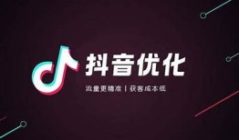 抖音优化版下载：轻松获取短视频创作新体验