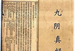 九阴真经：揭秘经典武学的奥秘与传承