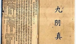 九阴真经：揭秘经典武学的奥秘与传承