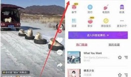 抖音1.5.6版本新功能揭秘，如何提升你的短视频吸引力