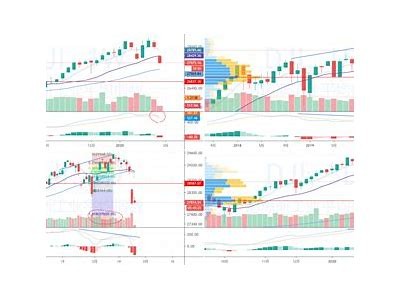 DJI 8C抖阴国际版评测：创新科技与优雅设计的完美结合