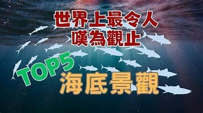 抖音记录世界奇迹：探索全球最惊艳抖音视频合集