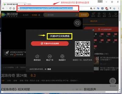 广泛解析抖阴VIP账号：获取方法与使用技巧大全
