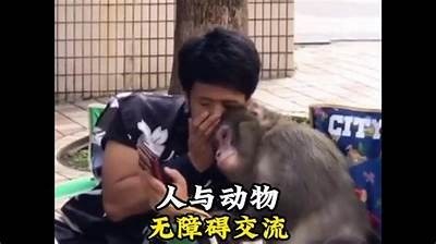 抖音阴兵恶搞视频合集：笑料不断，让你乐翻天！