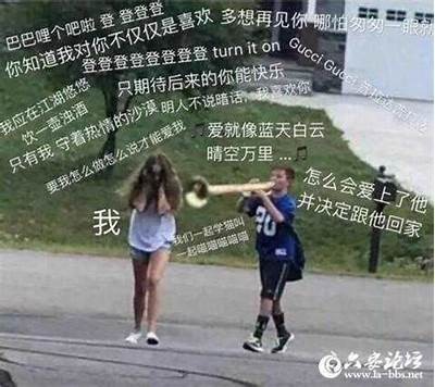 抖音猫咪在哪里找？教你轻松找到萌宠伴侣！