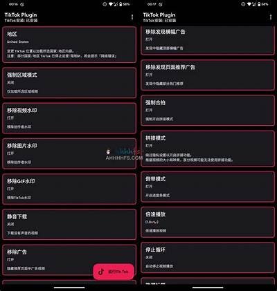 抖音国际版破解版下载：百度云资源分享与使用指南