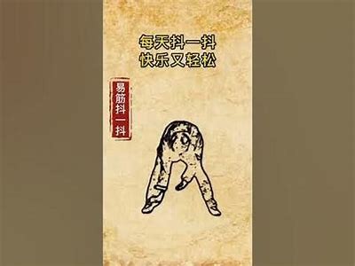 如何安全高效地使用抖阴？完整攻略与注意事项分享