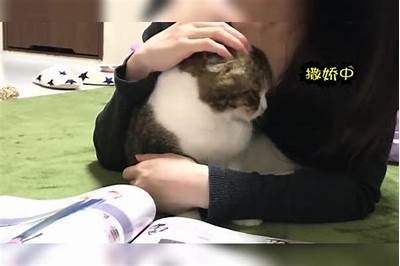 快猫记录生活点滴，抖阴轻松分享快乐时光