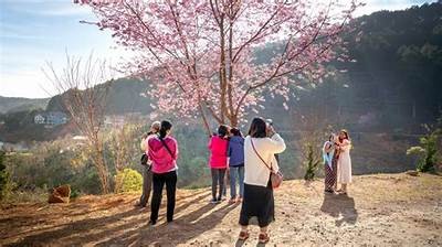 探索抖音旅行者雷：那些不可错过的旅行秘境与体验
