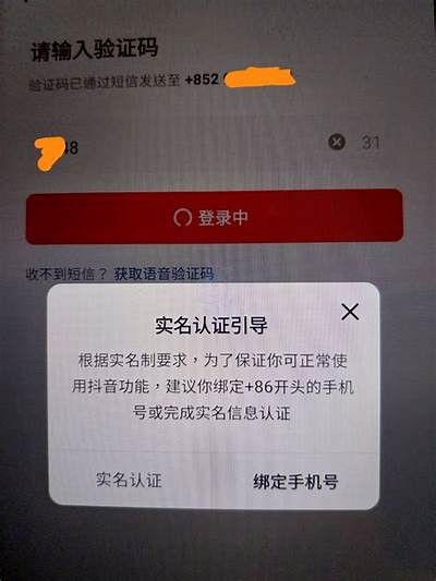 抖阴奇思购验证码获取方法与技巧，让购物更便捷！