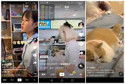 抖音破解版下载地址，蓝奏云链接分享与使用攻略